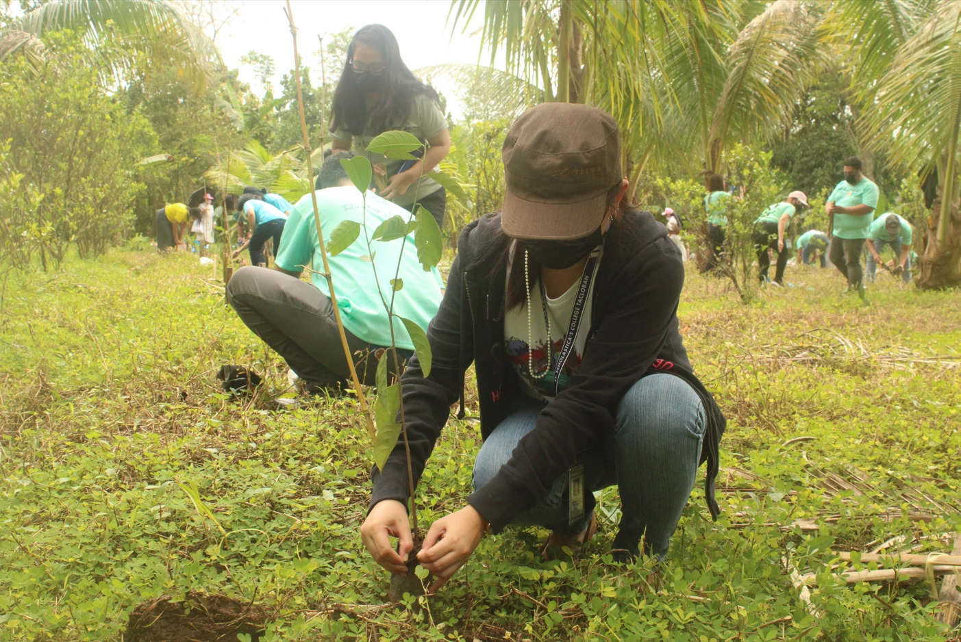 Tree Planting